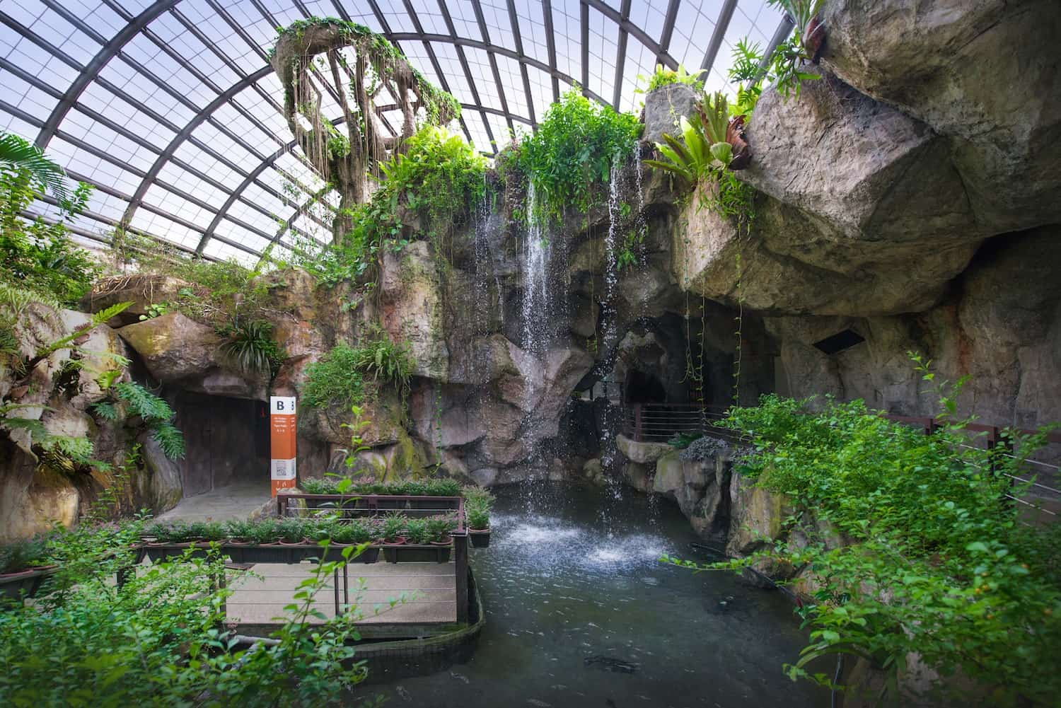 best things to do in teluk bahang entopia penang butterfly farm