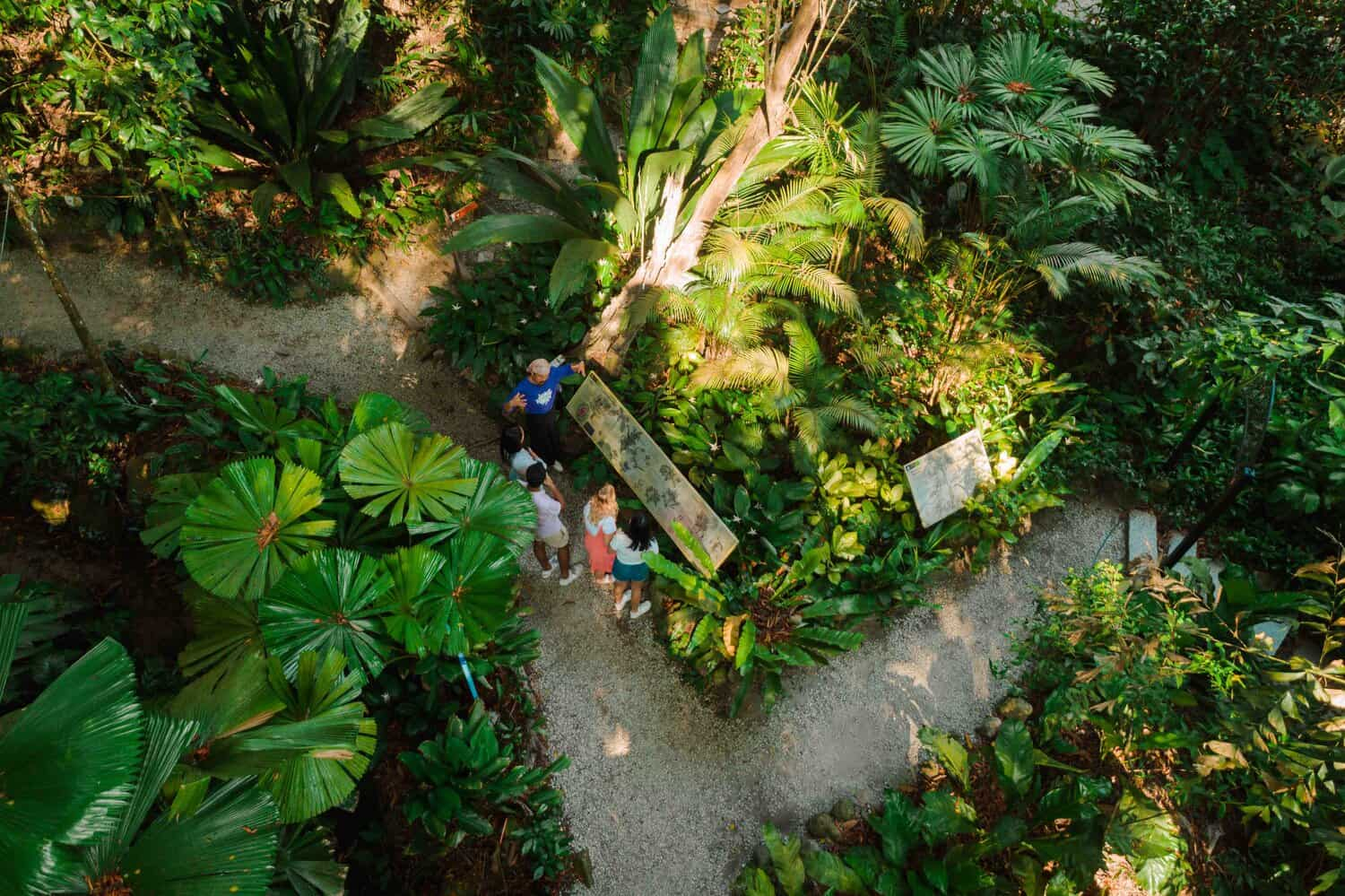 best things to do in teluk bahang penang tropical spice garden
