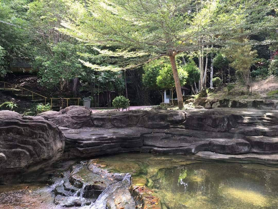 best things to do in teluk bahang penang taman rimba teluk bahang