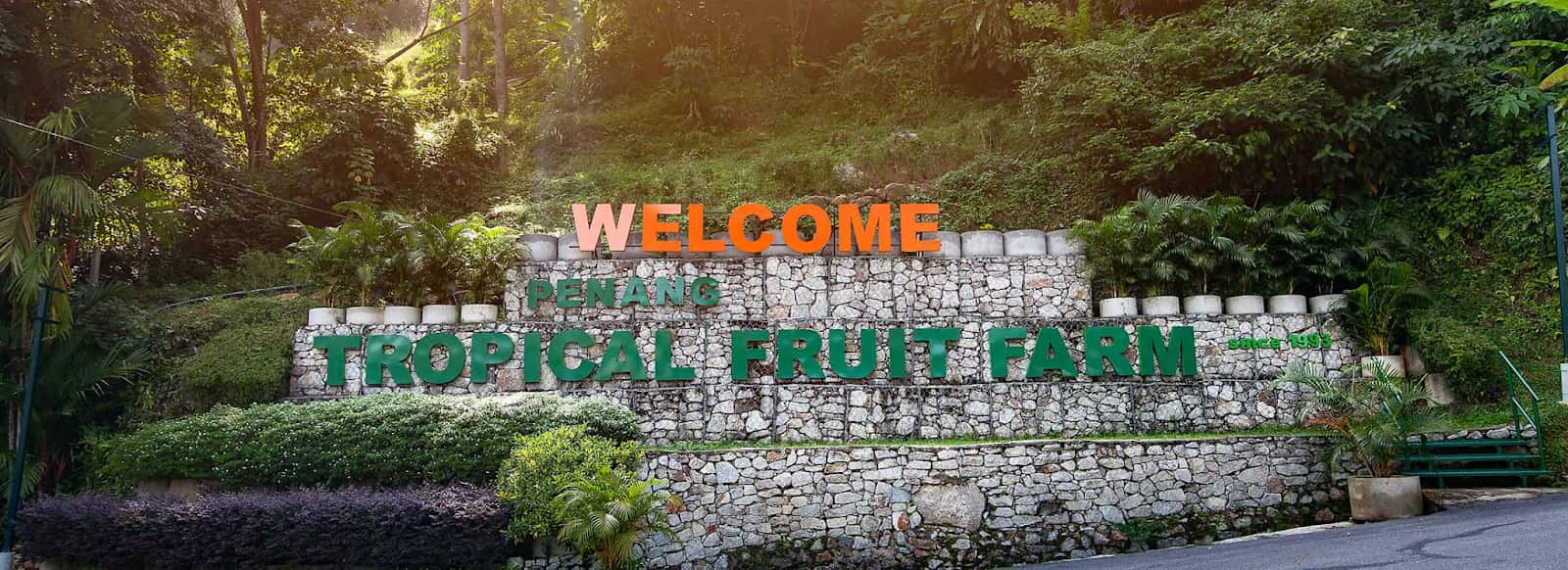 best things to do in teluk bahang penang tropical fruit farm