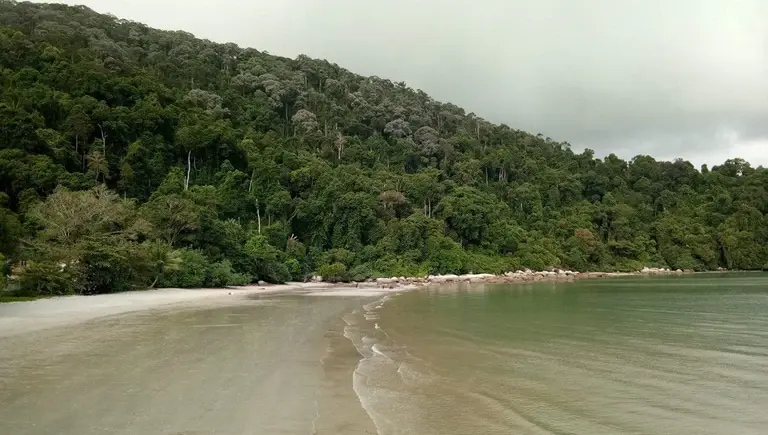 best things to do in teluk bahang beach