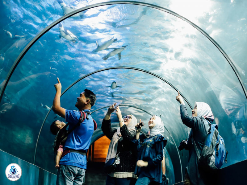 must visit places in langkawi malaysia Underwater World Langkawi