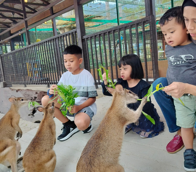 must visit places in langkawi malaysia Langkawi Wildlife Park