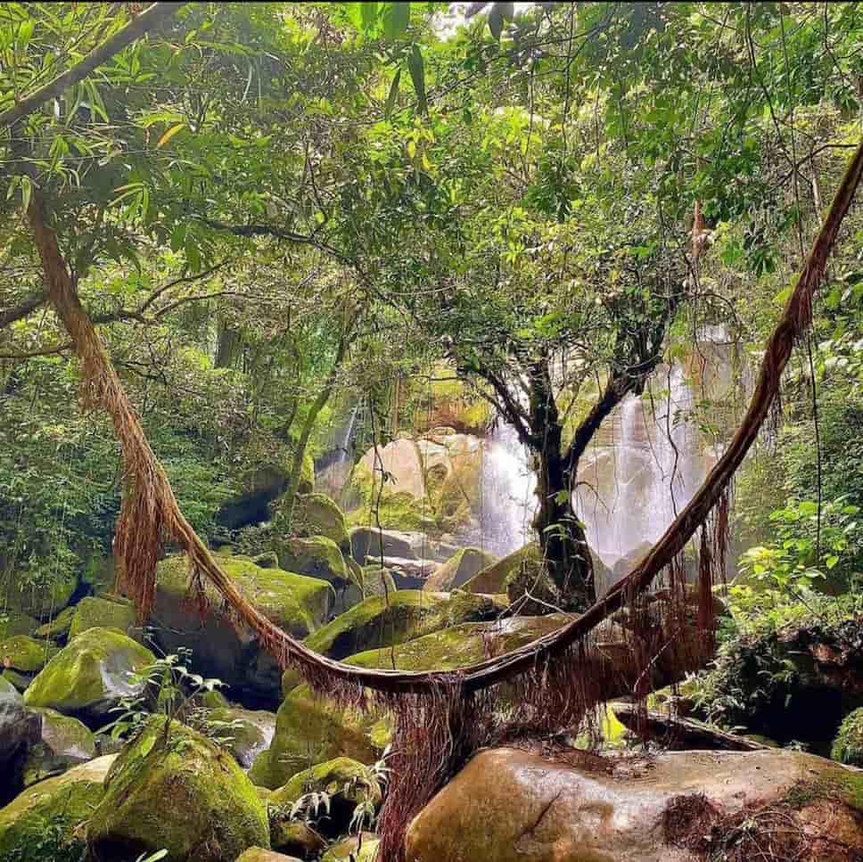 Top Places to Visit in Sarawak for the New Year Bengoh Dam Borneo’s Jurassic Park