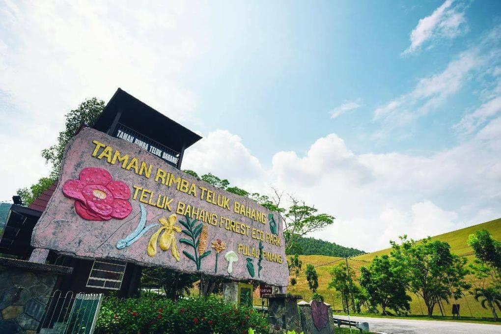 best things to do in teluk bahang penang taman rimba teluk bahang