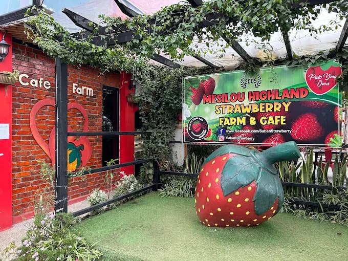 Best Places to Visit in Kundasang Mesilou Highland Strawberry Farm