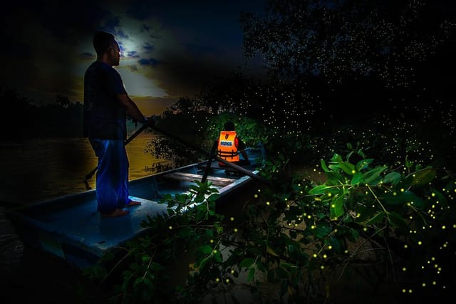 merdeka day road trip kuala selangor fireflies